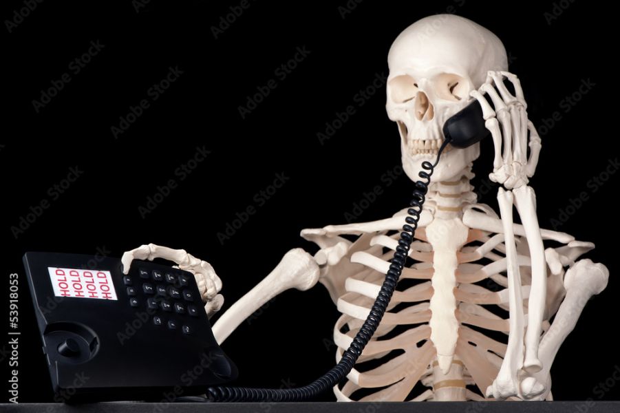 A SKELETON CALLING ON A TELEPHONE?!?!