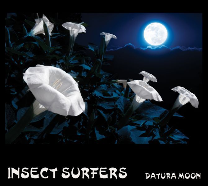 Insect Surfers - Datura Moon