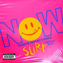 Now That's What I Call Surf! Volume One