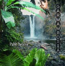  GARMAMBOSIA - Palm Deluxe